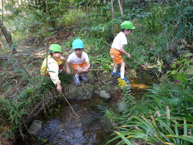豊かな自然体験ができるエコパーク（新松戸幼稚園の自然観察園）。初夏にはホタルが飛び交います。（画像提供／新松戸幼稚園）